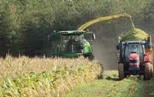 PRUDENCE ! ENSILAGE DES MAÏS